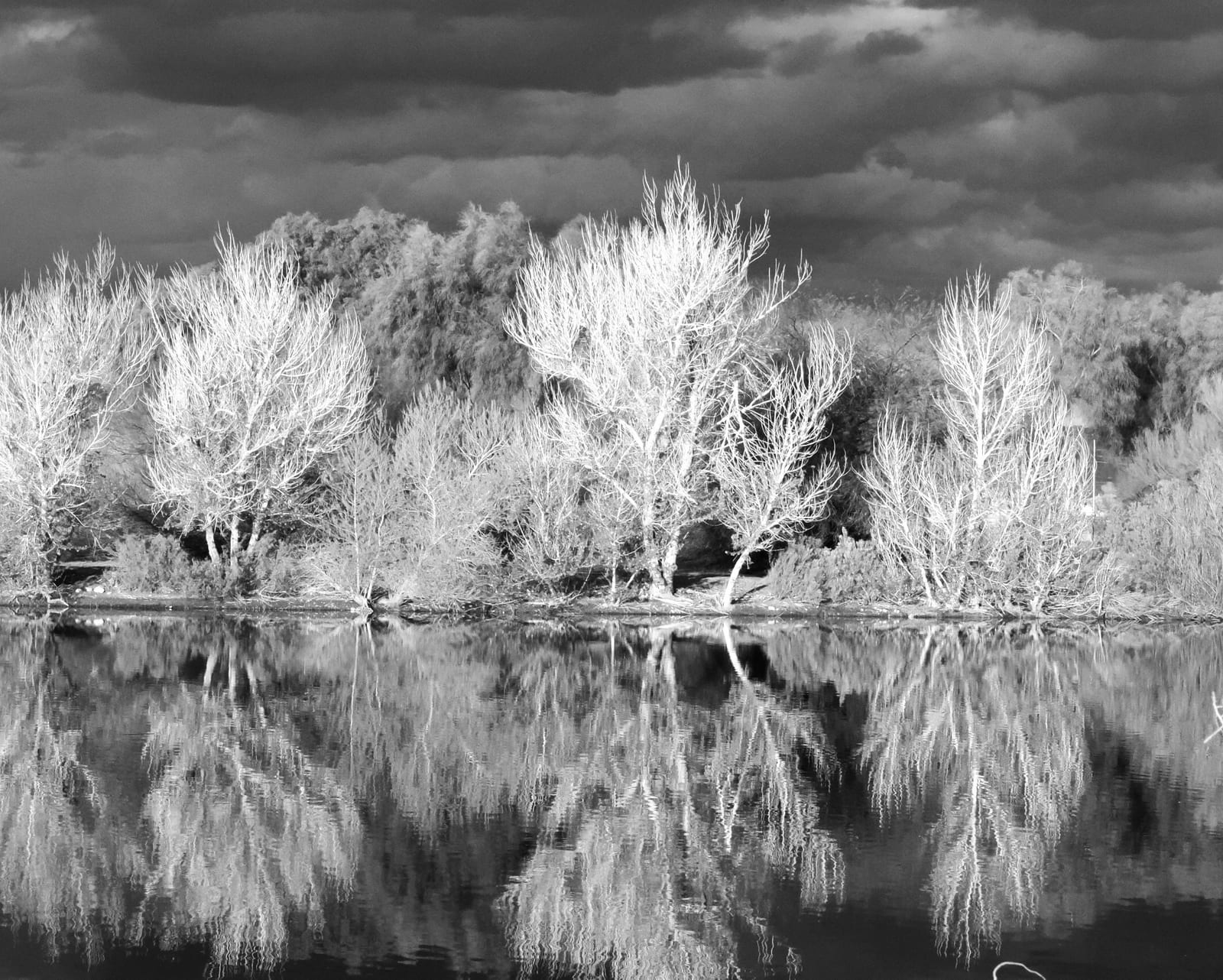 Infrared Reflections