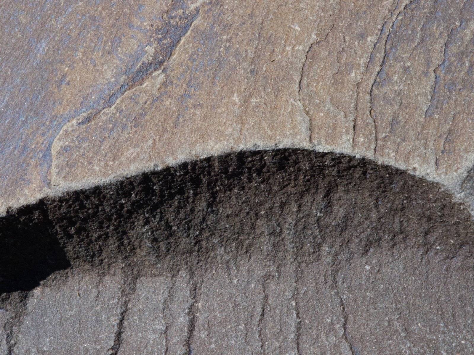 Stone and Shadow