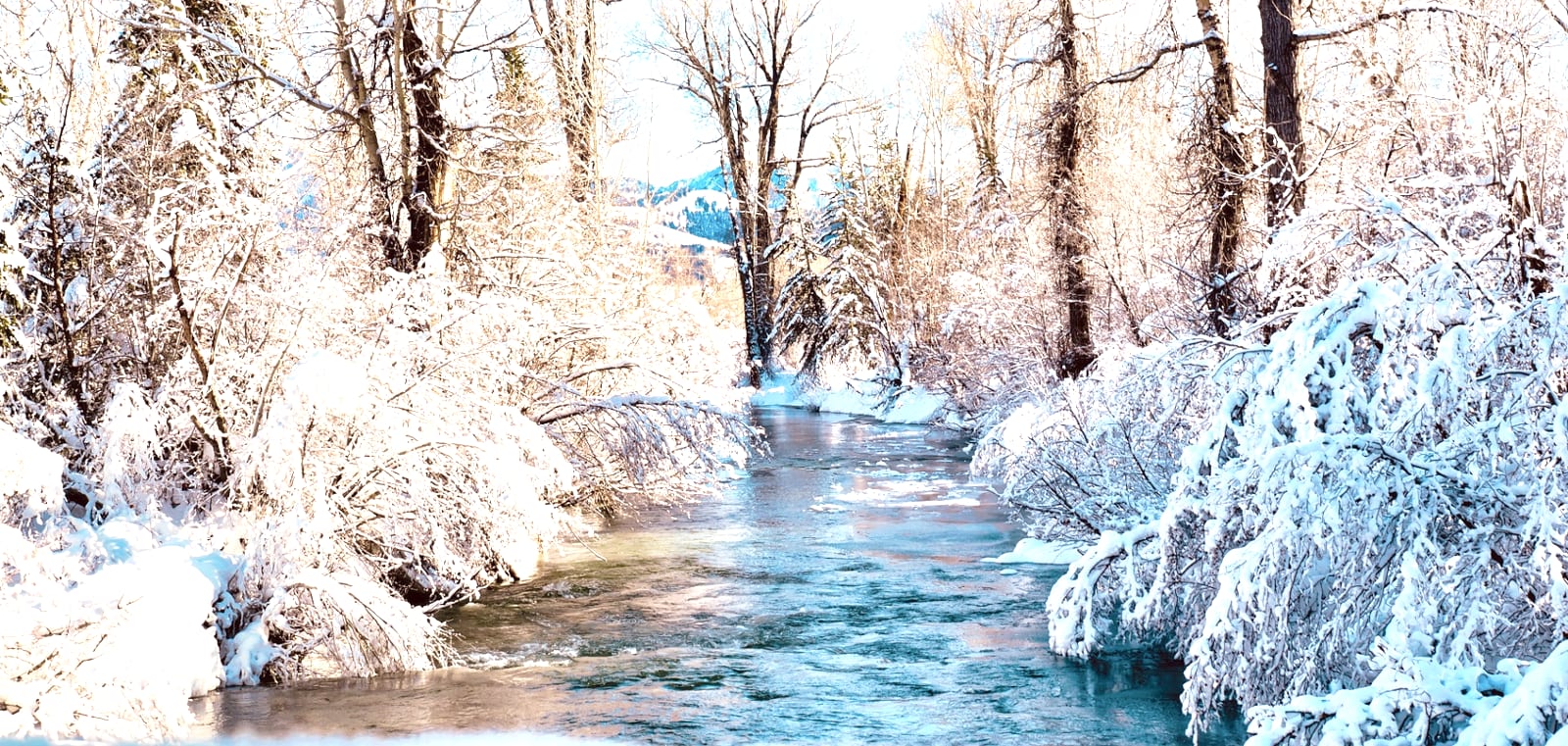 Winter Creek